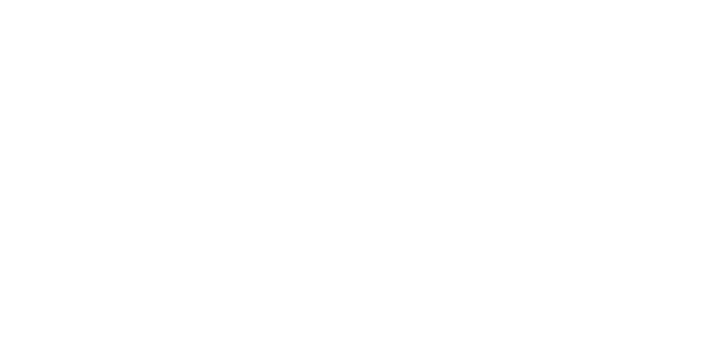 IGS Ingenieure Logo